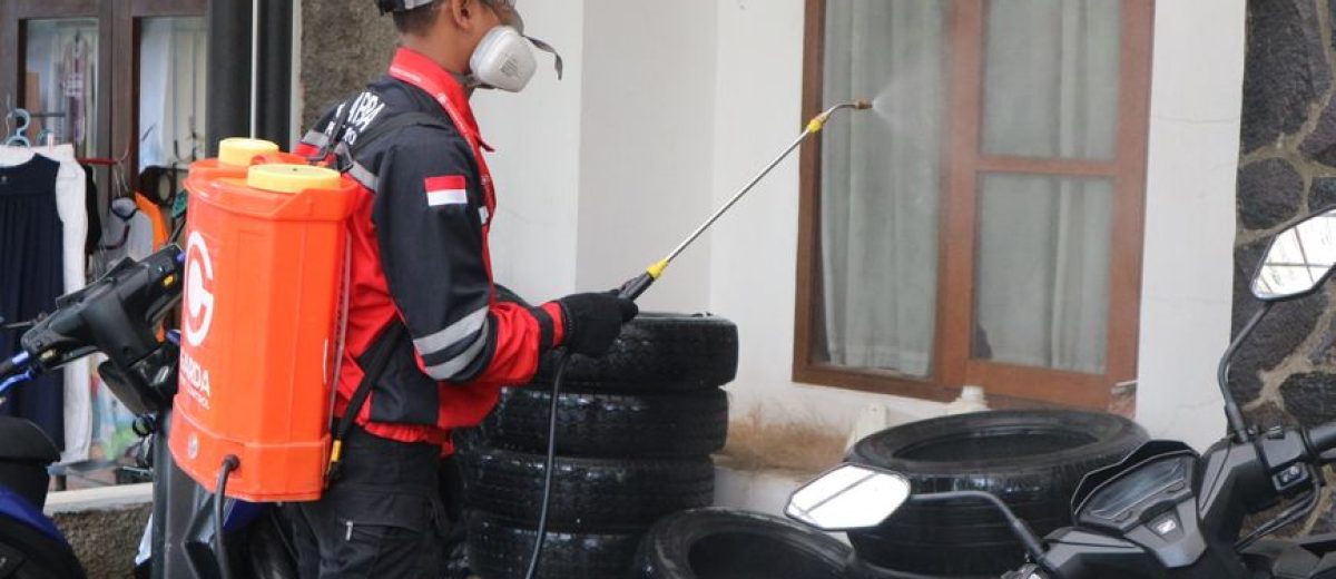 Pest control website example